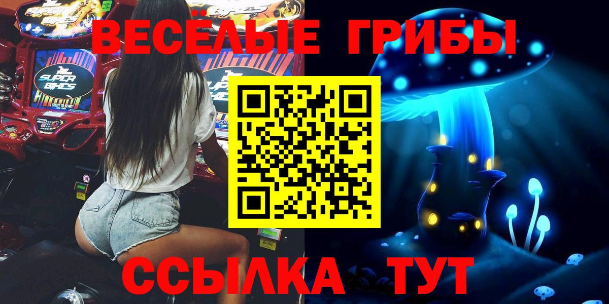 где можно купить   Вход с VPN  Смоленск  Псилоцибиновые грибы мицелий  Галлюциногенные грибы GOLDEN TEACHER 